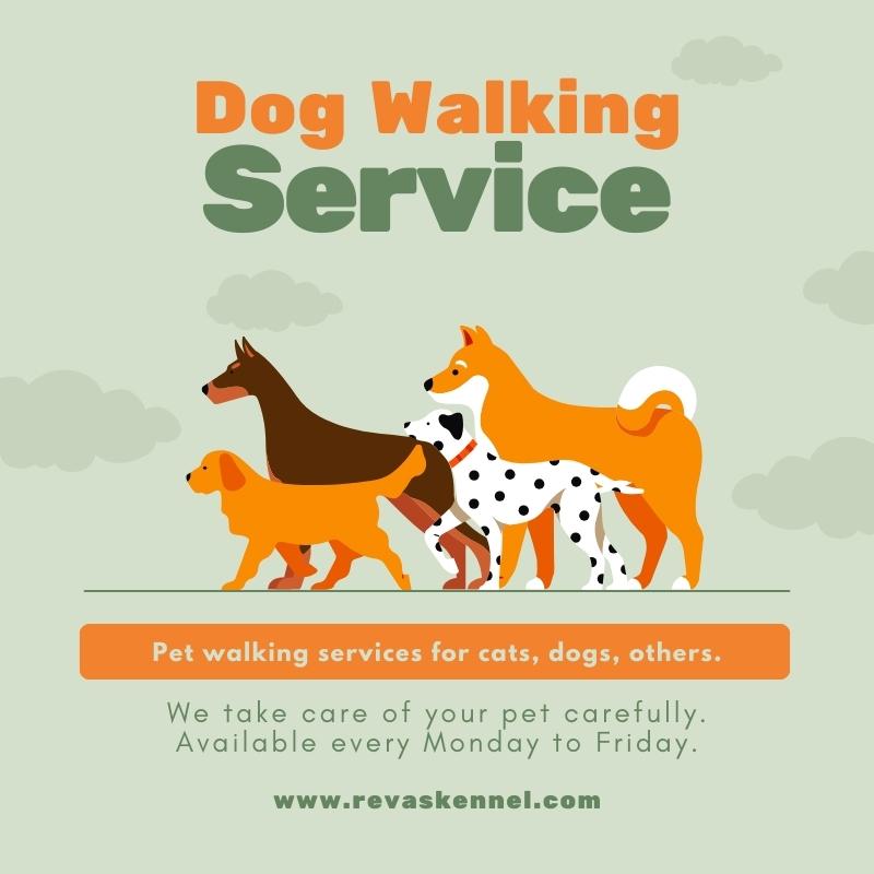 dog walking services in chandigarh
