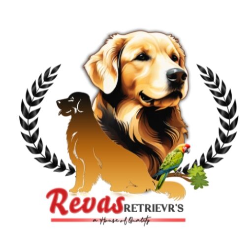 Best Dog Kennel In Chandigarh - Revas kennel